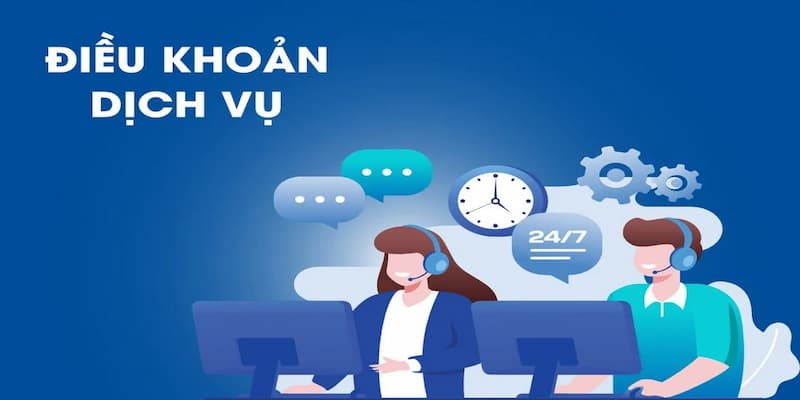 Sử dụng và tuân thủ điều khoản và dịch vụ