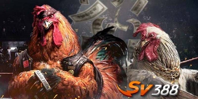 SV388 lừa đảo