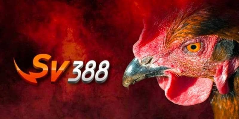 SV388 lừa đảo SV388 lừa đảo