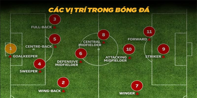 thuật ngữ trong cá độ bóng đá thuật ngữ trong cá độ bóng đá